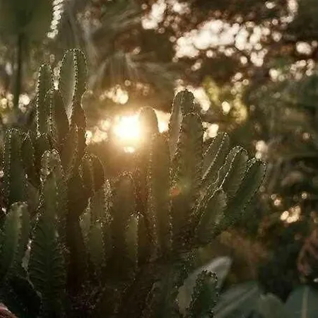 Soulhouse Marbella, Exclusiva Galardonada Марбелья