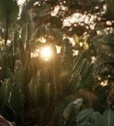 Soulhouse Marbella, Exclusiva Galardonada Marbella